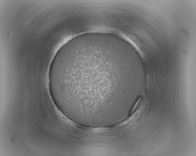 X0000115531471200911201709