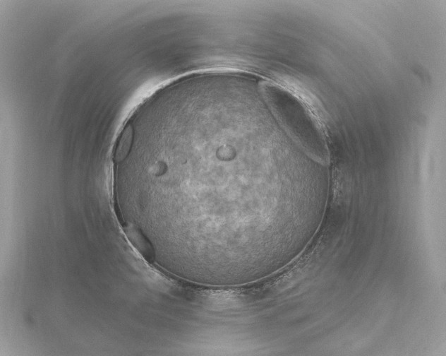 X0000115531472200911201709