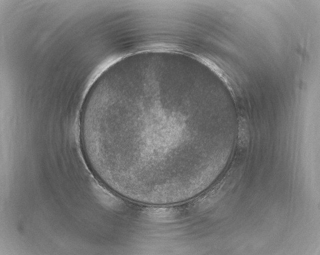 X0000115531474200911201709