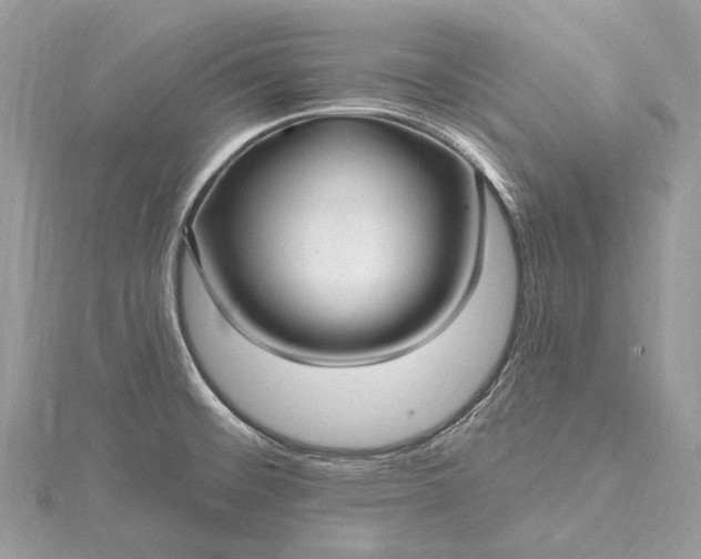 X0000115531476200911201709