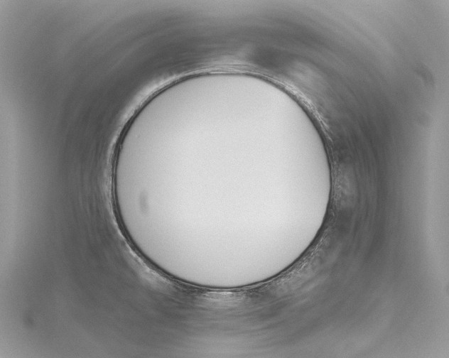 X0000115531478200911201709