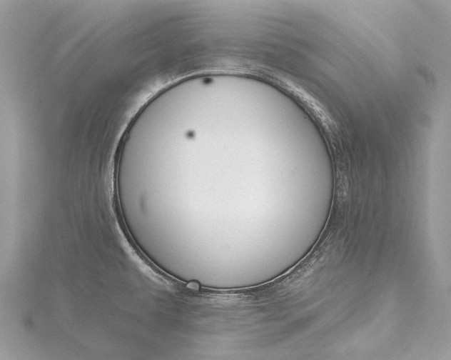 X0000115531479200911201709