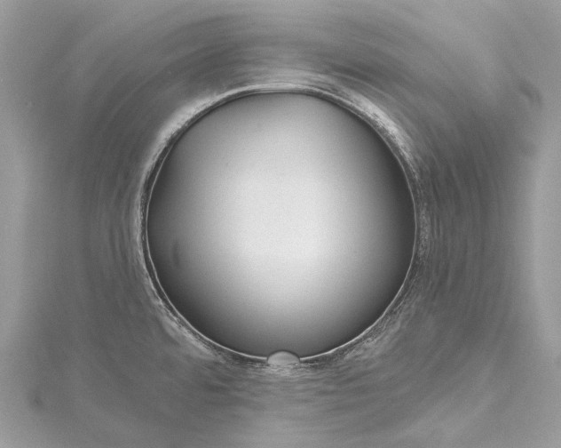 X0000115531480200911201709