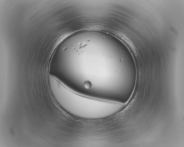 X0000115531481200911201709