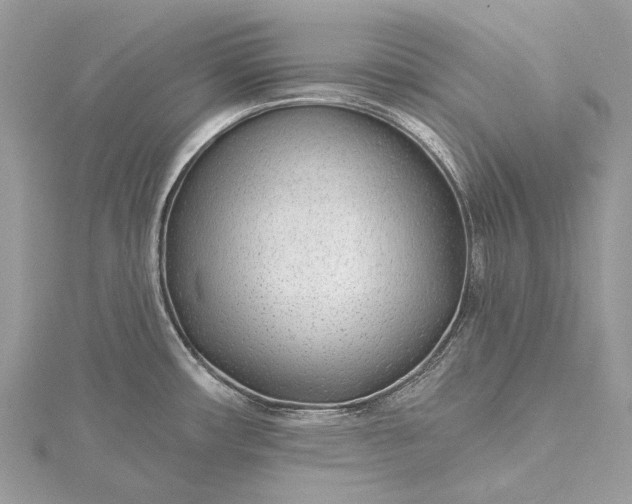 X0000115531482200911201709