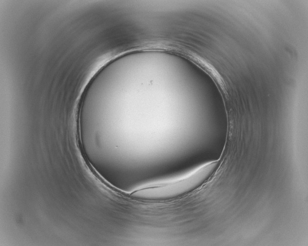 X0000115531483200911201709