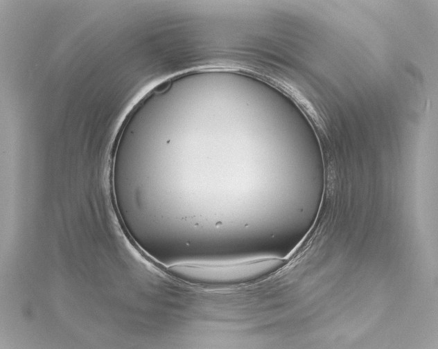 X0000115531484200911201709