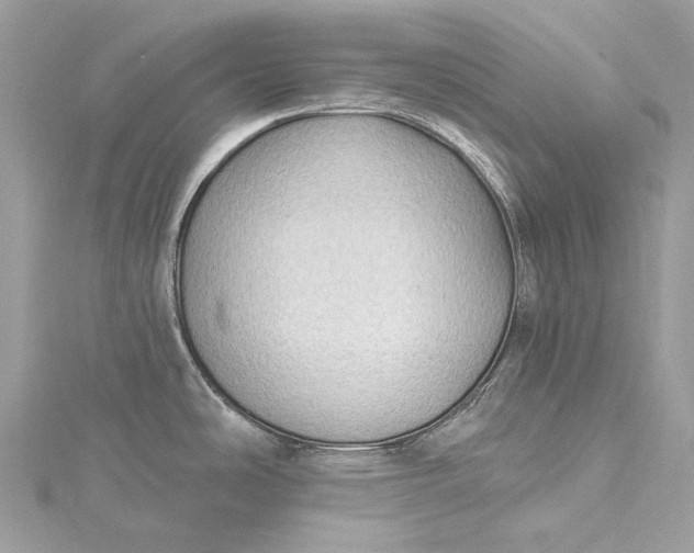 X0000115531486200911201709