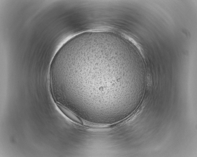 X0000115531487200911201709