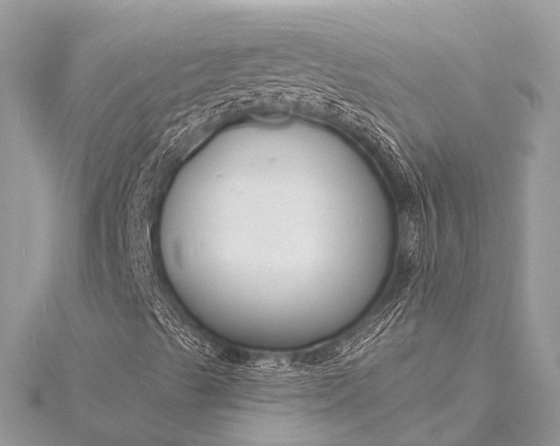 X0000115531489200911201708