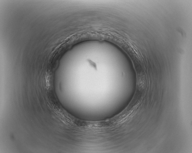 X0000115531490200911201708