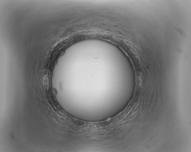 X0000115531493200911201709