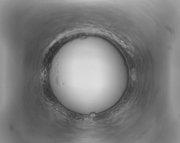 X0000115531495200911201709