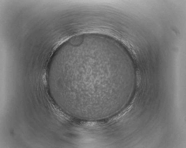 X0000115531497200911201709