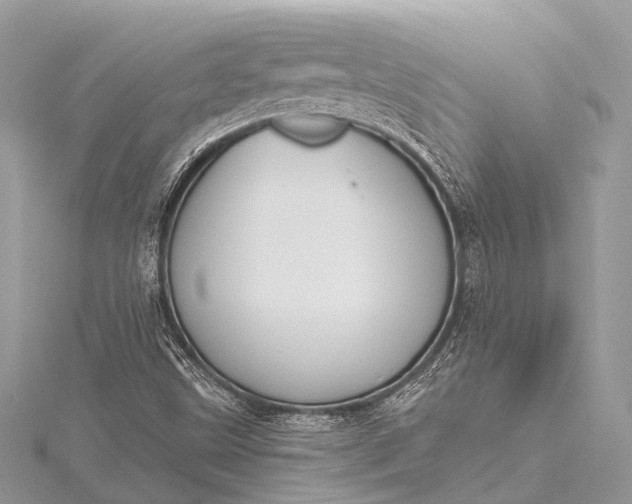 X0000115531499200911201709