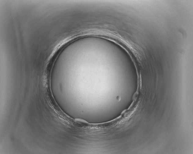 X0000115531501200911201709