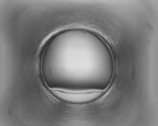 X0000115531502200911201709