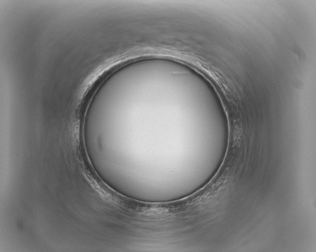 X0000115531503200911201709