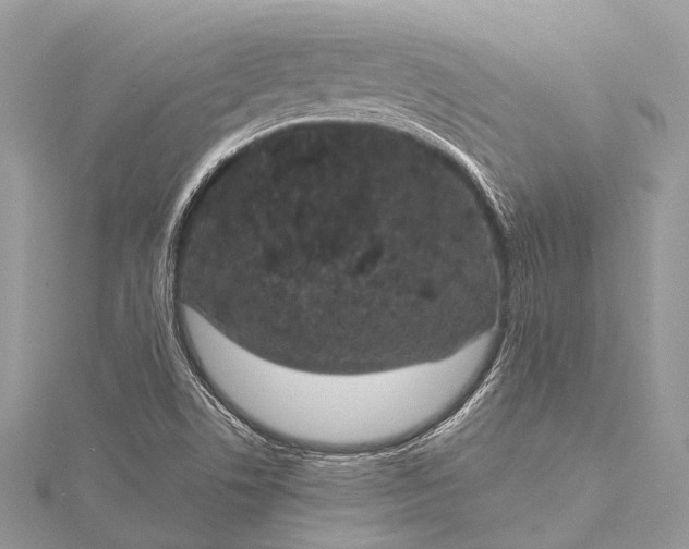 X0000115531506200911201709