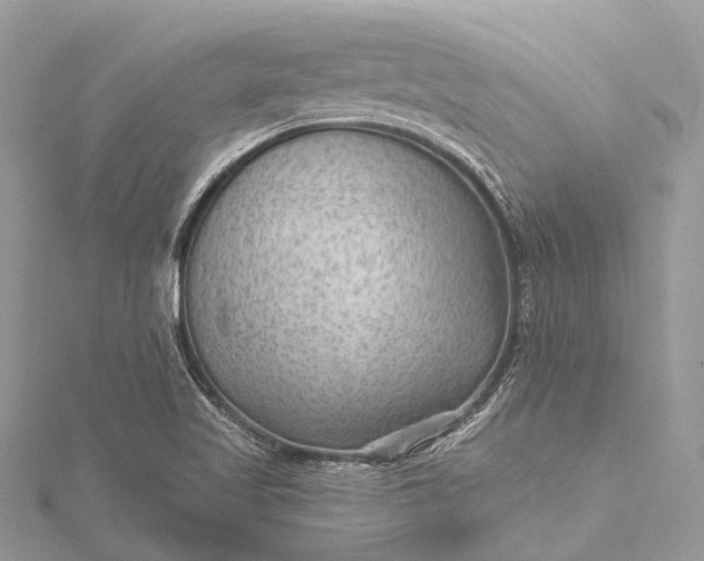 X0000115531509200911201709