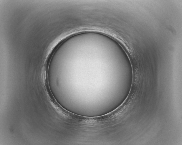 X0000115531511200911201709