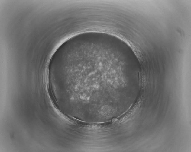 X0000115531515200911201709