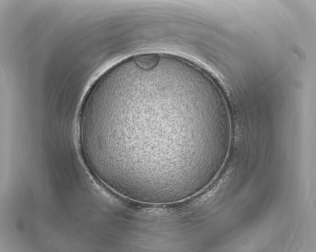 X0000115531517200911201709