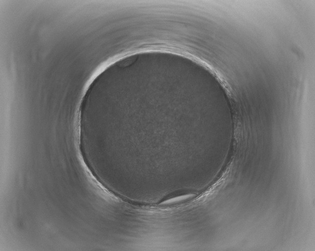 X0000115531522200911201709