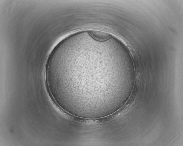 X0000115531523200911201709