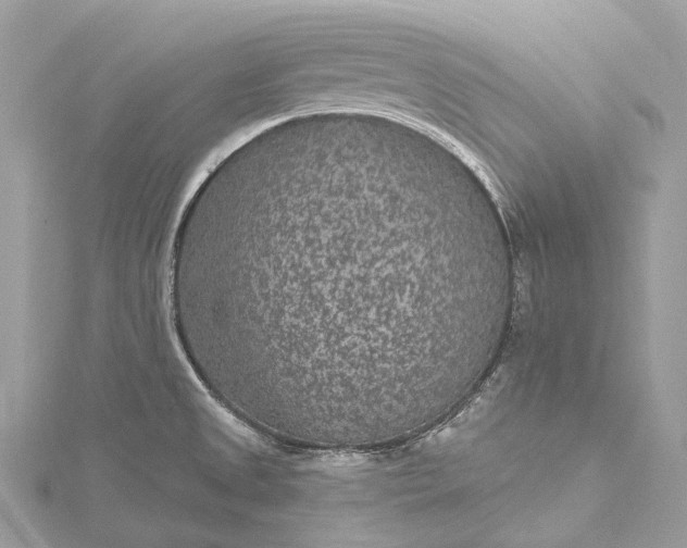 X0000115531525200911201709