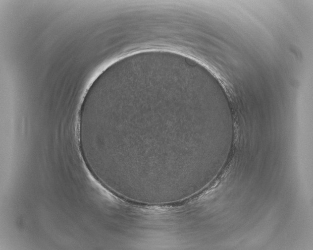 X0000115531527200911201709