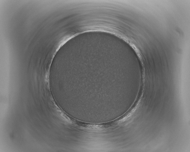 X0000115531529200911201709