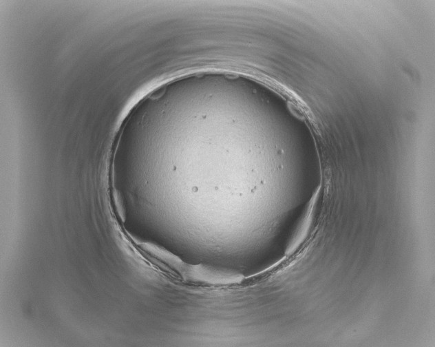 X0000115531530200911201709