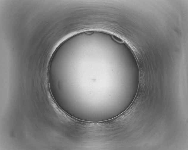 X0000115531534200911201709