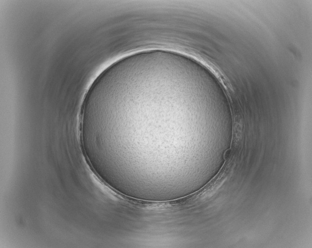 X0000115531535200911201709