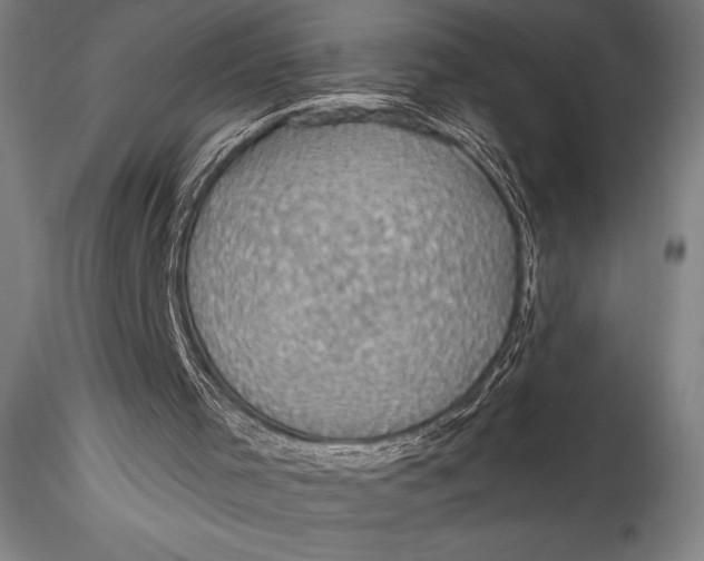 X0000115530001200911271357