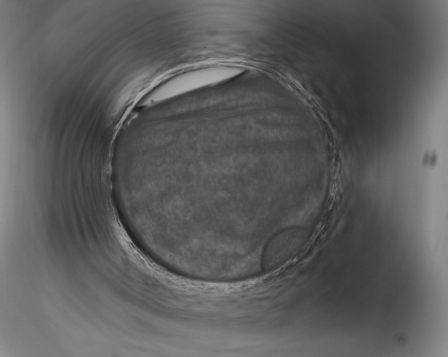 X0000115530002200911271357