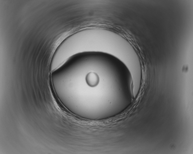 X0000115530003200911271357