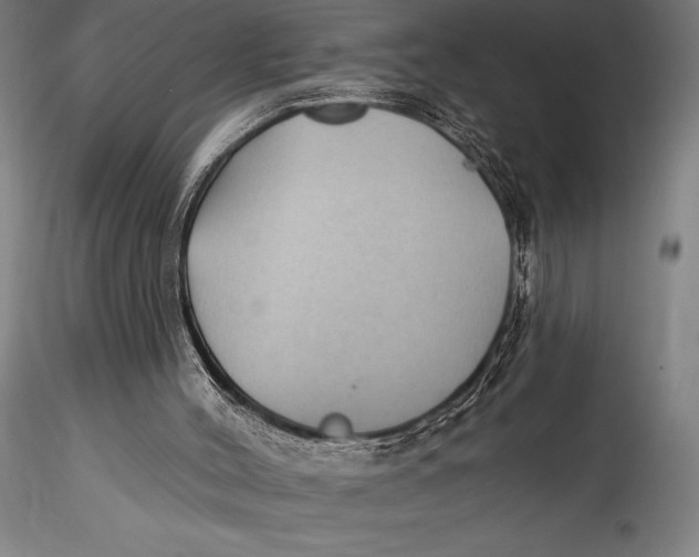 X0000115530004200911271357