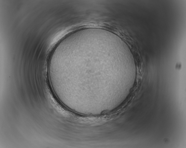 X0000115530005200911271357