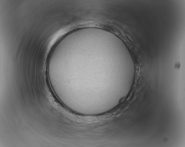 X0000115530006200911271357