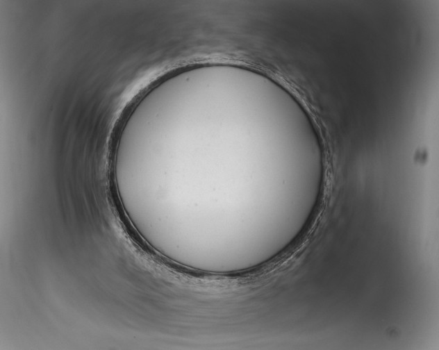 X0000115530008200911271357