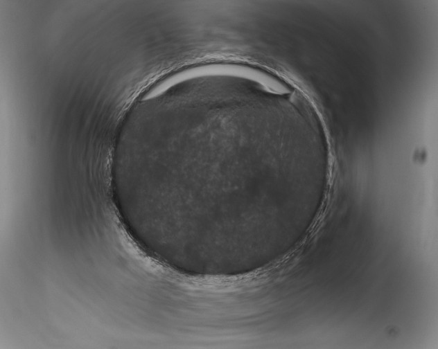 X0000115530009200911271357