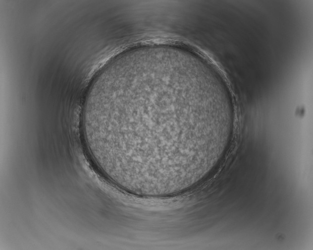 X0000115530010200911271357