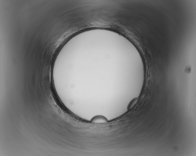 X0000115530011200911271357