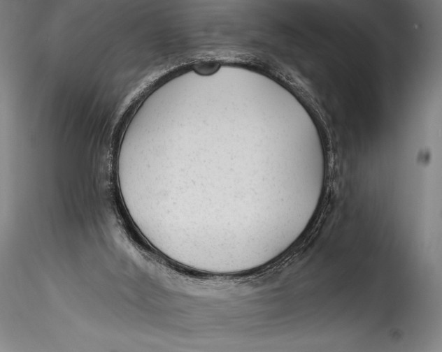 X0000115530012200911271357