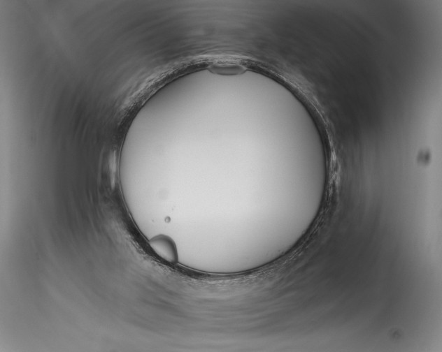 X0000115530013200911271357