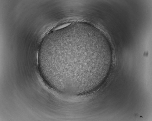 X0000115530014200911271357