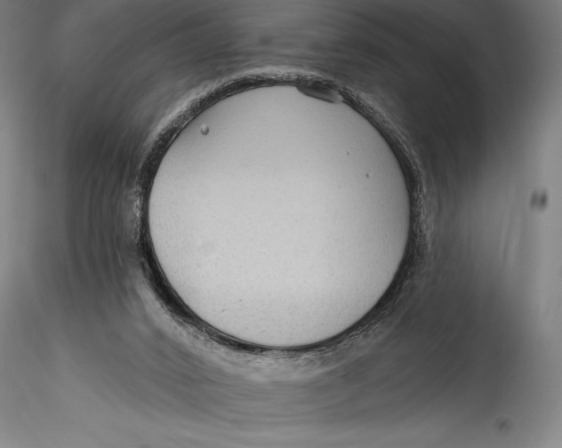 X0000115530016200911271357