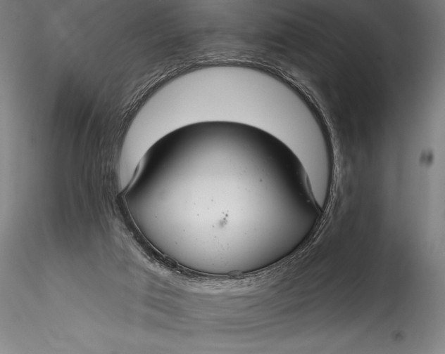 X0000115530017200911271357